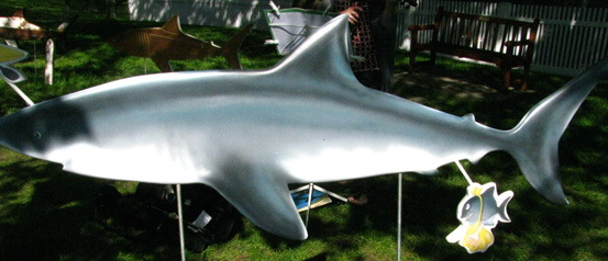 3dshark.jpg