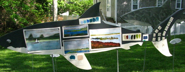 colorsofchathamshark.jpg