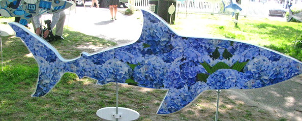 hydrangeashark.jpg