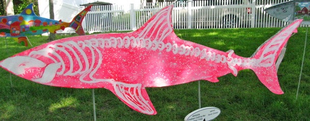 pinkskeletonshark.jpg