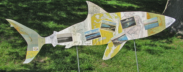 yellowmapshark.jpg