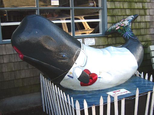 getwhalesoon.jpg