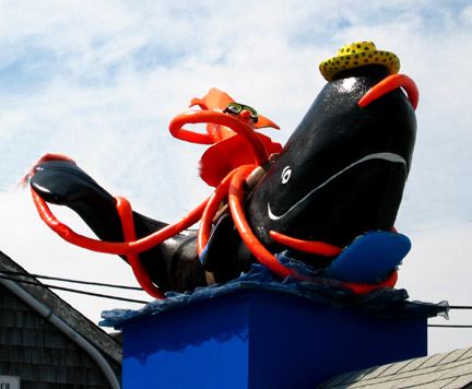 tangledupinsquid.jpg