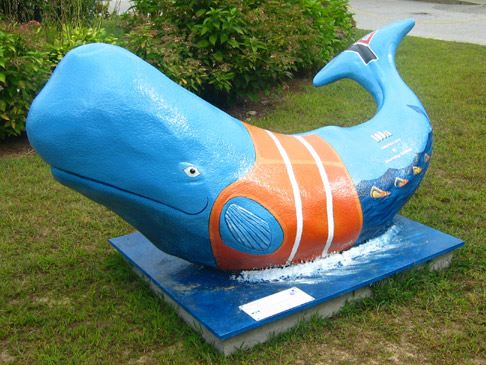 yswhale.jpg